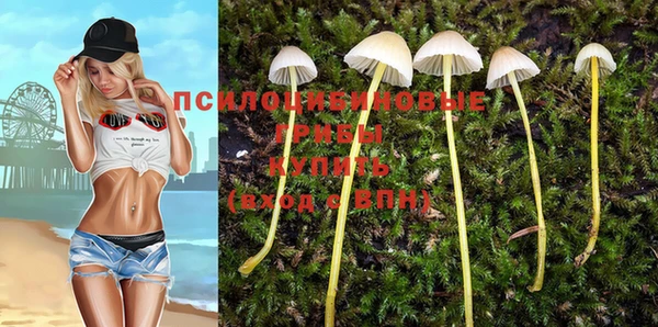 герыч Арсеньев