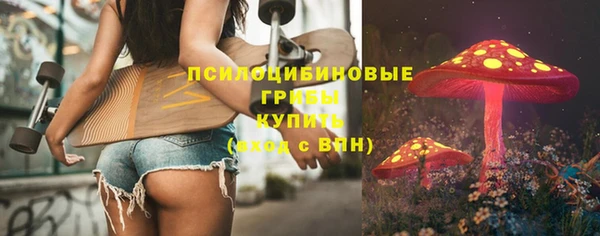трава Армянск