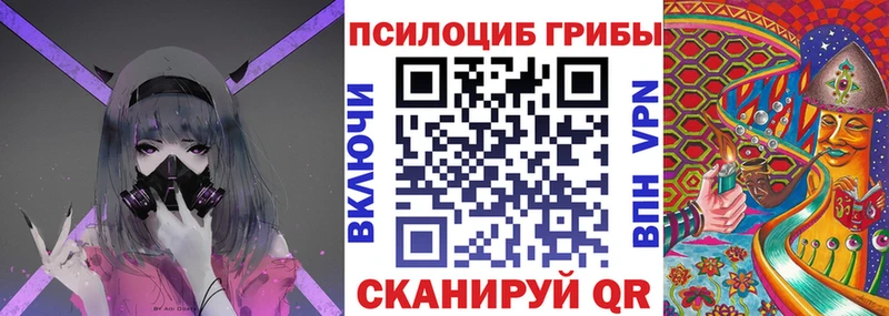 кракен зеркало  Светлый  Псилоцибиновые грибы GOLDEN TEACHER 